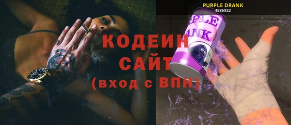 СК Вязьма
