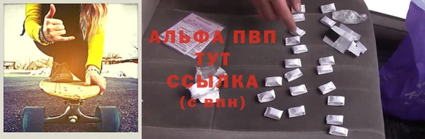 гидра Верхний Тагил