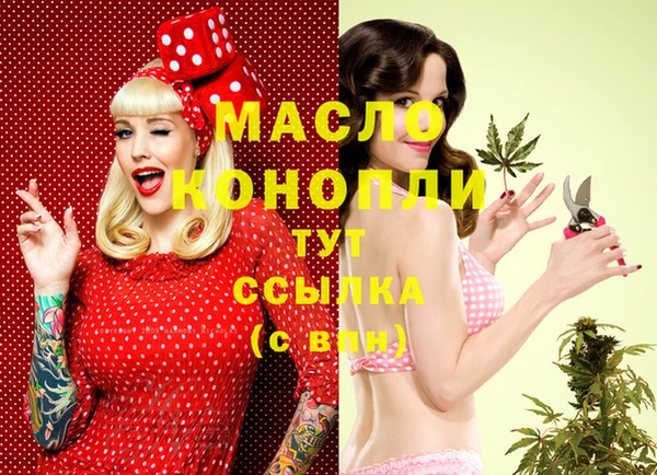 СК Вязьма
