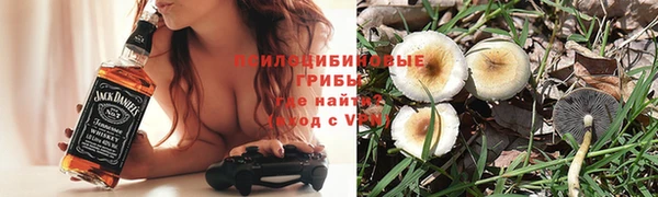СК Вязьма
