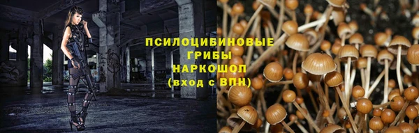 гидра Вязники