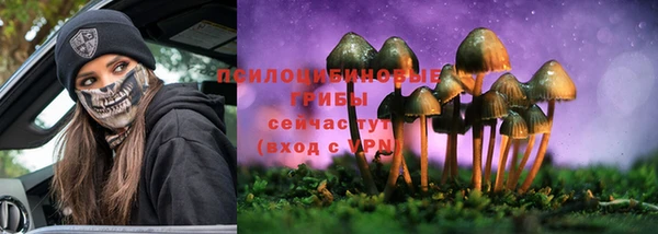 гидра Вязники