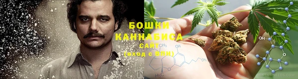 СК Вязьма
